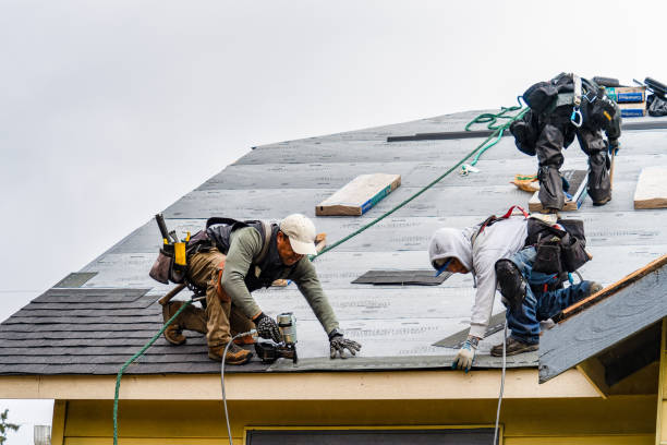 Professional Gutter Installation technician working in Cedar Grove, FL